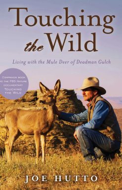 Touching the Wild: Living with the Mule Deer of Deadman Gulch