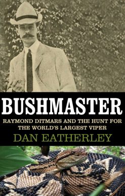 Bushmaster: Raymond Ditmars and the Hunt for the World's Largest Viper