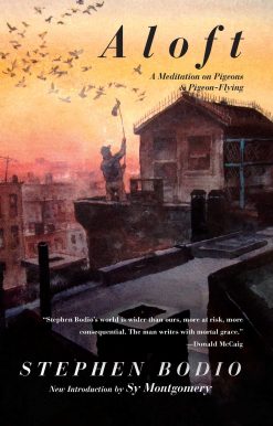 Aloft: A Meditation on Pigeons & Pigeon-Flying