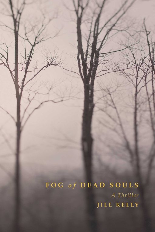 Fog of Dead Souls: A Thriller