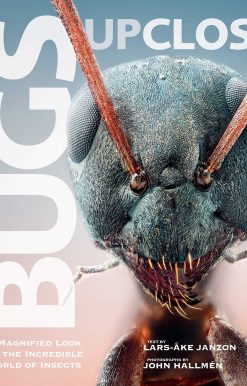 Bugs Up Close: A Magnified Look at the Incredible World of Insects