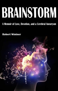 Brainstorm: A Memoir of Love, Devotion, and a Cerebral Aneurysm