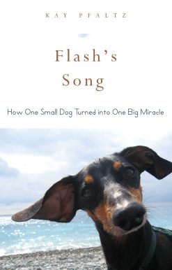 Flash's Song: How One Small Dog Turned into One Big Miracle
