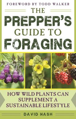 The Prepper's Guide to Foraging: How Wild Plants Can Supplement a Sustainable Lifestyle