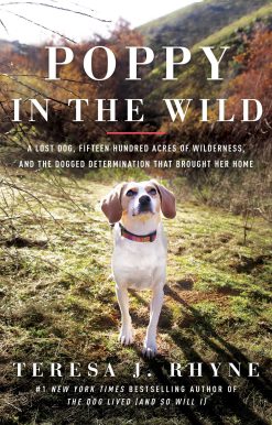 Poppy in the Wild : A Lost Dog, Fifteen Hundred Acres of Wilderness, and the Dogged Determination that Brought Her Home