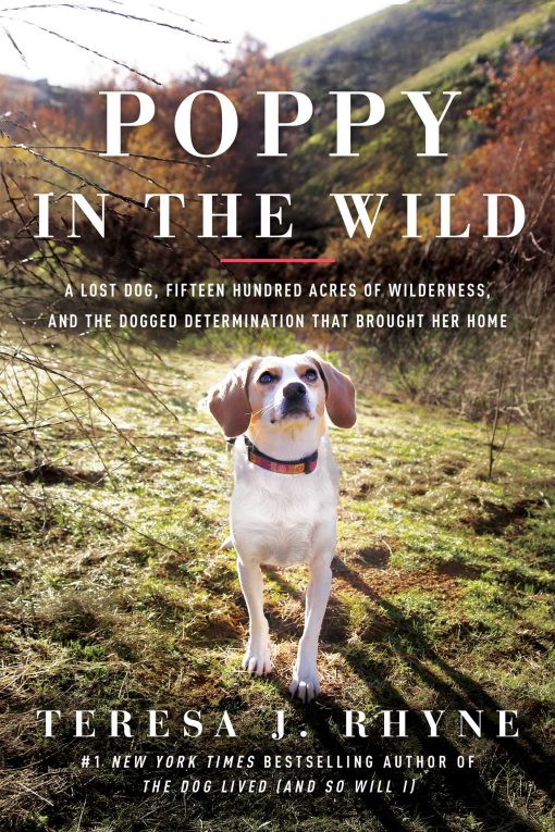 Poppy in the Wild : A Lost Dog, Fifteen Hundred Acres of Wilderness, and the Dogged Determination that Brought Her Home