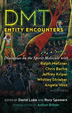 DMT Entity Encounters: Dialogues on the Spirit Molecule with Ralph Metzner, Chris Bache, Jeffrey Kripal, Whitley Strieber, Angela Voss, and Others