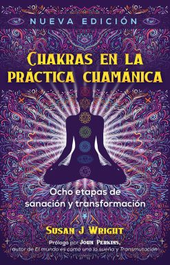 Chakras en la prÃ¡ctica chamÃ¡nica: Ocho etapas de sanaciÃ³n y transformaciÃ³n