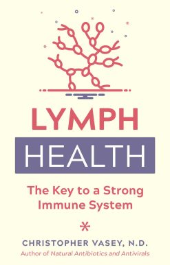 Lymph Health: The Key to a Strong Immune System