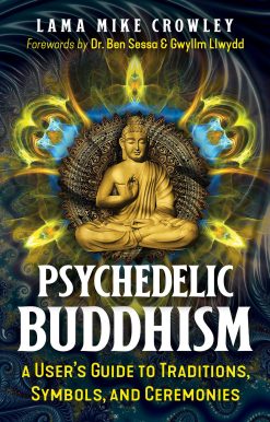 Psychedelic Buddhism: A User's Guide to Traditions, Symbols, and Ceremonies
