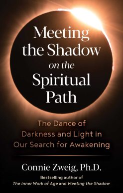 Meeting the Shadow on the Spiritual Path: The Dance of Darkness and Light in Our Search for Awakening