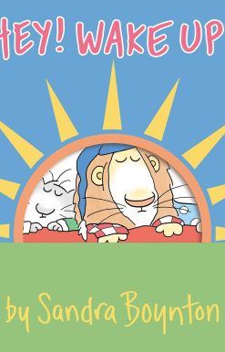Hey! Wake Up!