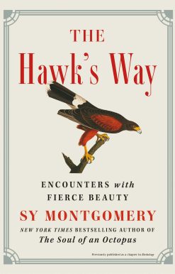 The Hawk's Way: Encounters with Fierce Beauty