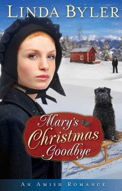 Mary's Christmas Goodbye: An Amish Romance