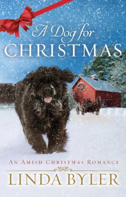 A Dog for Christmas: An Amish Christmas Romance