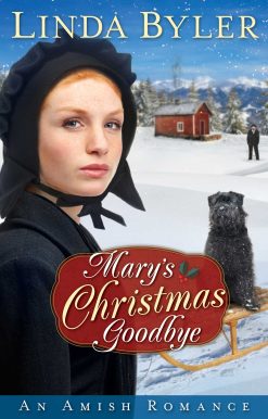 Mary's Christmas Goodbye: An Amish Romance