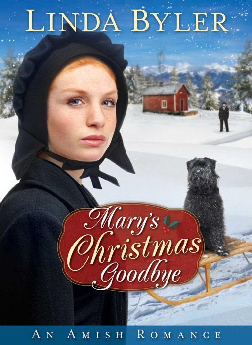 Mary's Christmas Goodbye: An Amish Romance