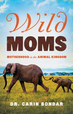 Wild Moms