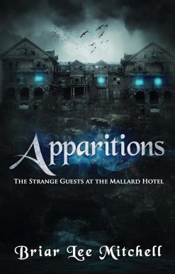Apparitions: The Strange Guests at the Mallard Hotel