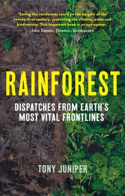 Rainforest Dispatches from Earth's Most Vital Frontlines