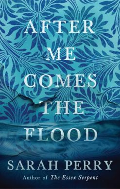After Me Comes the Flood From the author of The Essex Serpent