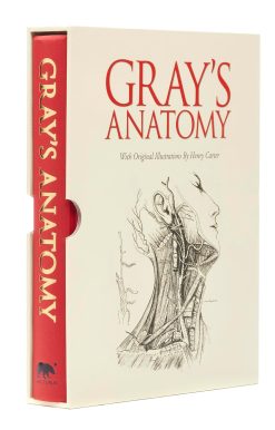 Gray's Anatomy: Slip-case Edition