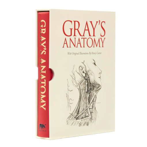 Gray's Anatomy: Slip-case Edition