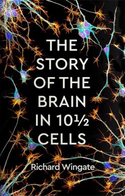 Story of the Brain in 10½ Cells