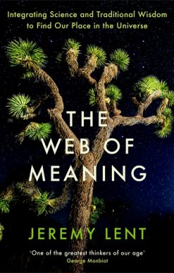 Web of Meaning Integrating Science and Traditional Wisdom to Find Our Place in the Universe