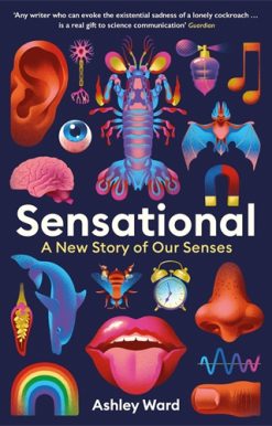Sensational A New Story of our Senses