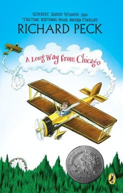 A Novel in Stories: A Long Way From Chicago