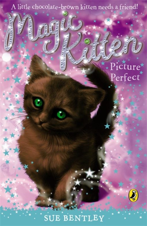 Magic Kitten #14 Picture Perfect