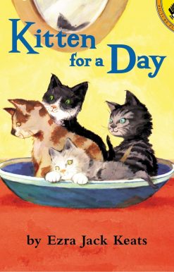 Kitten for a Day