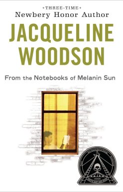 From the Notebooks of Melanin Sun