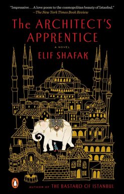 A Novel: The Architect's Apprentice