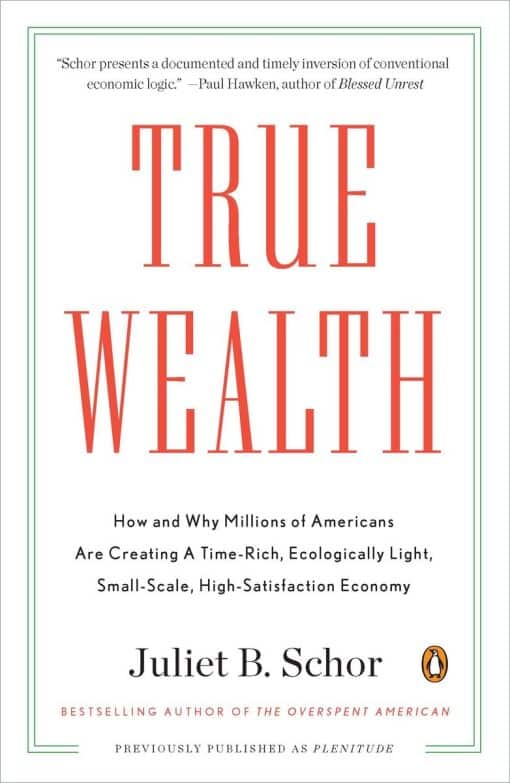 How and Why Millions of Americans Are Creating a Time-Rich, Ecologically Light, Small-Scale, High-Satisfaction Economy: True Wealth