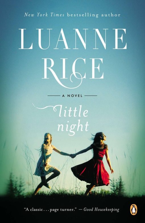 A Novel: Little Night