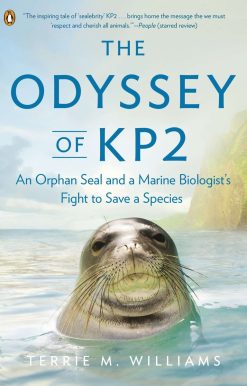 The Odyssey of KP2: An Orphan Seal and a Marine Biologist’s Fight to Save a Species
