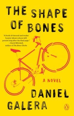 A Novel: The Shape of Bones