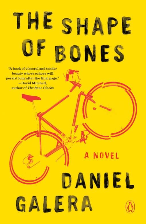 A Novel: The Shape of Bones