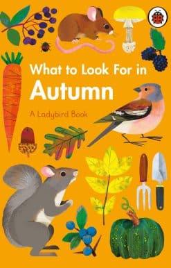 What to Look For in Autumn