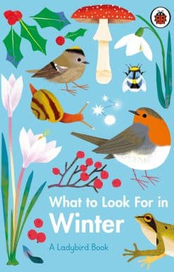 What to Look For in Winter