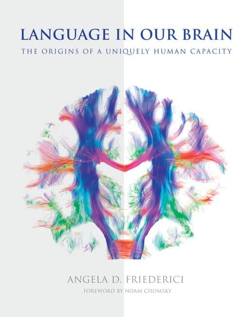 The Origins of a Uniquely Human Capacity: Language in Our Brain