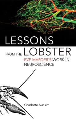 Lessons from the Lobster: Eve Marder's Work in Neuroscience