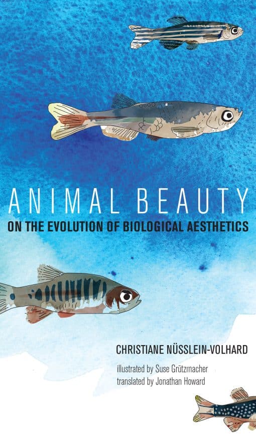 On the Evolution of Biological Aesthetics: Animal Beauty