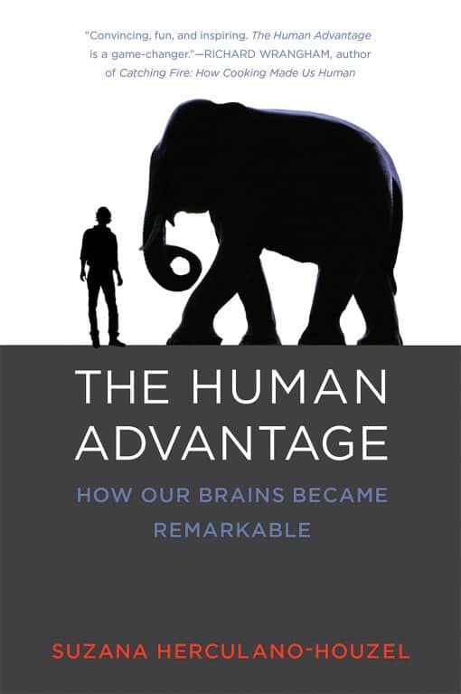 How Our Brains Became Remarkable: The Human Advantage