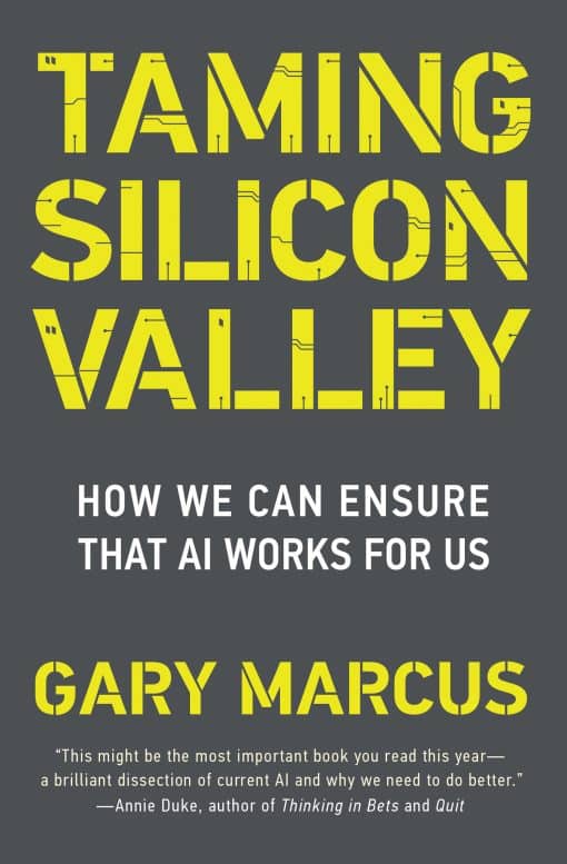 How We Can Ensure That AI Works for Us: Taming Silicon Valley