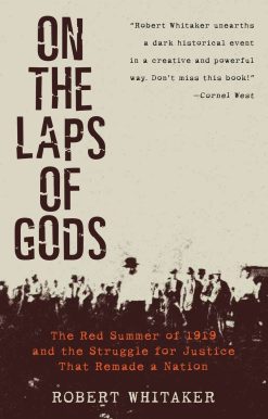 The Red Summer of 1919 and the Struggle for Justice That Remade a Nation: On the Laps of Gods