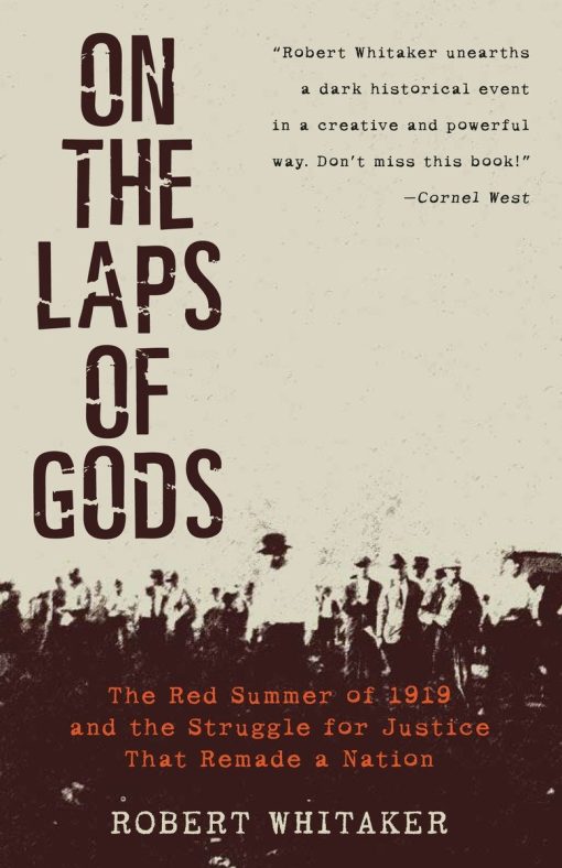 The Red Summer of 1919 and the Struggle for Justice That Remade a Nation: On the Laps of Gods