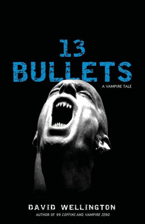 A Novel: 13 Bullets